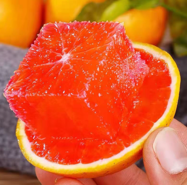 Chinese red orange - Image 4