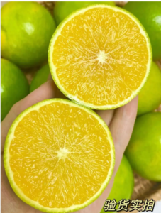 Yunnan Sugar Orange