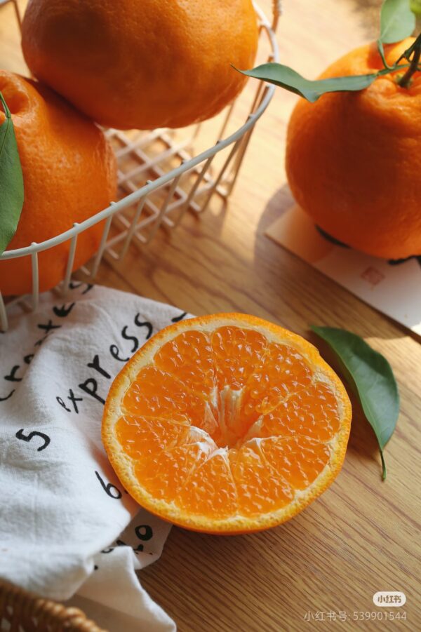 Honey Orange - Image 4