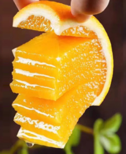 6e319c7f495bd477876f1c12a5d46b2