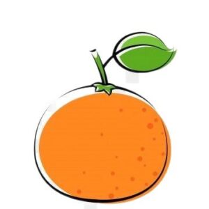 pngtree-delicious-summer-orange-image_1234464