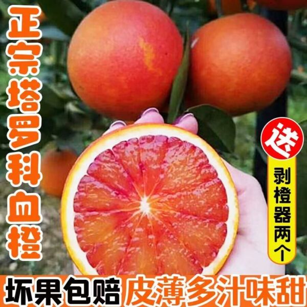 A hand holding a sliced Tarocco Blood Orange, showcasing its vibrant red interior.