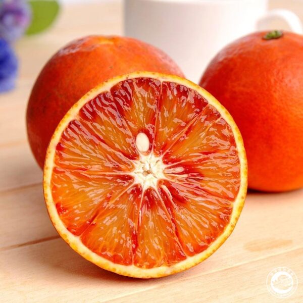 Tarocco Blood Orange - Image 4