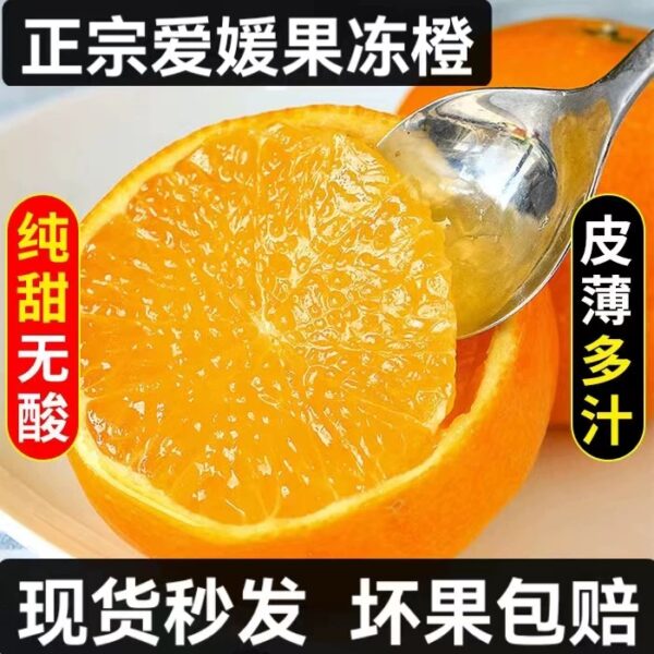 Citrus reticulata 'Ai Yuan 38'
