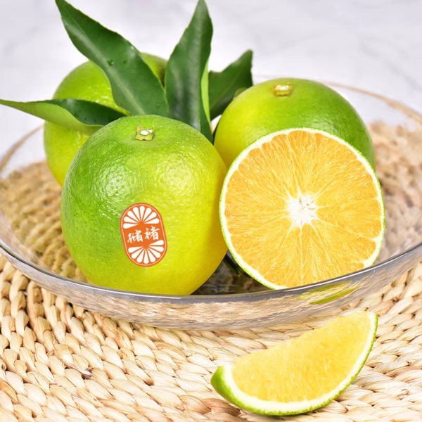 Chu Orange - Image 2