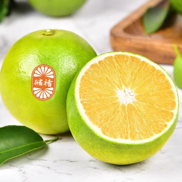 Chu Orange - Image 4