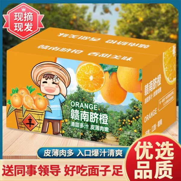 Gannan navel orange
