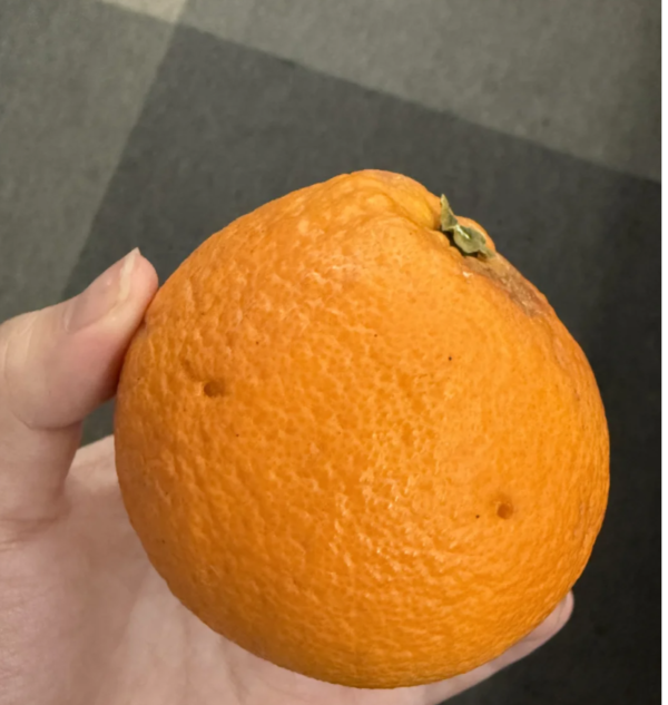 DanQing Fruit